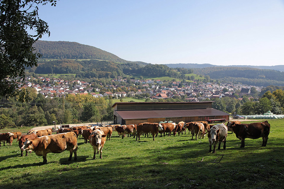 NACHHALTIG – FAIR – REGIONAL